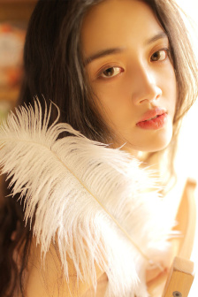 姐妹电视剧5免费观看